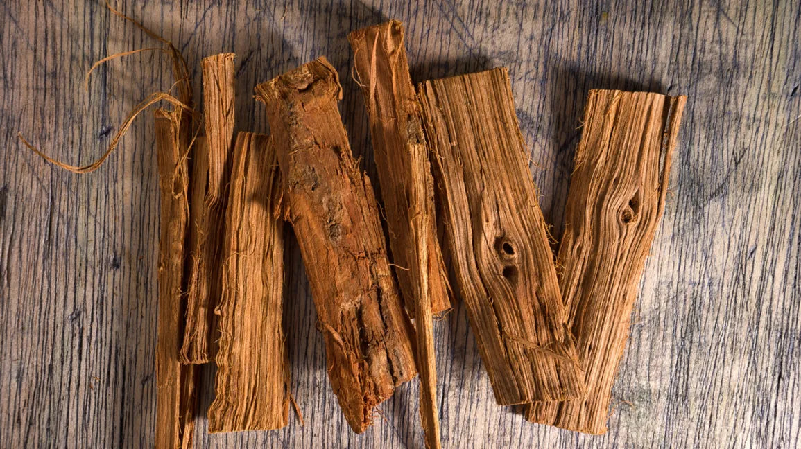 Cat’s Claw Extract – Natural Support for Pain Relief